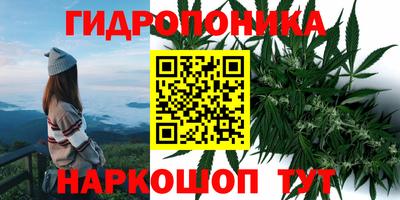 марки lsd Гай