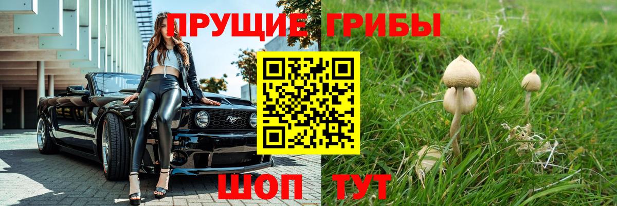 Калач-на-Дону  Псилоцибиновые грибы мицелий  Псилоцибиновые грибы ЛСД  Вход с VPN 
